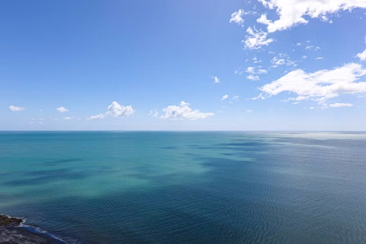 Penthouse Único en Venta en Gorgona