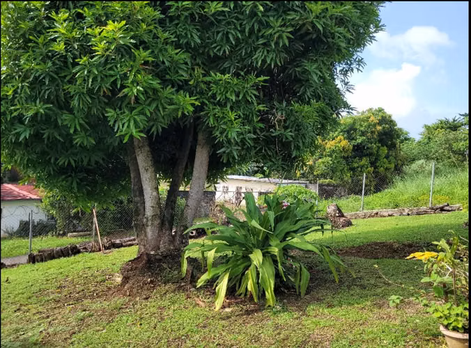 Venta de Terreno con mejoras en Pueblo Nuevo