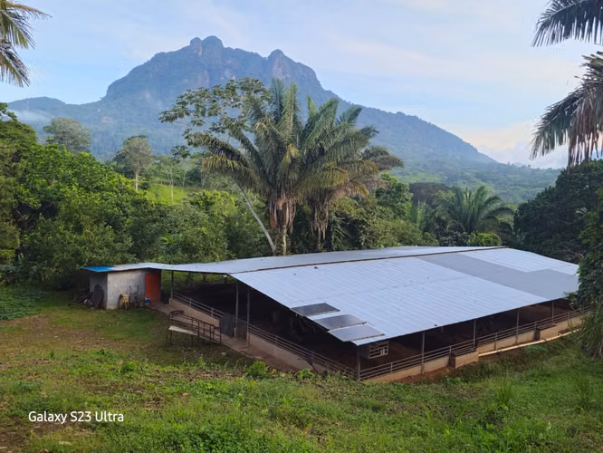 VENTA FINCA CAPIRA