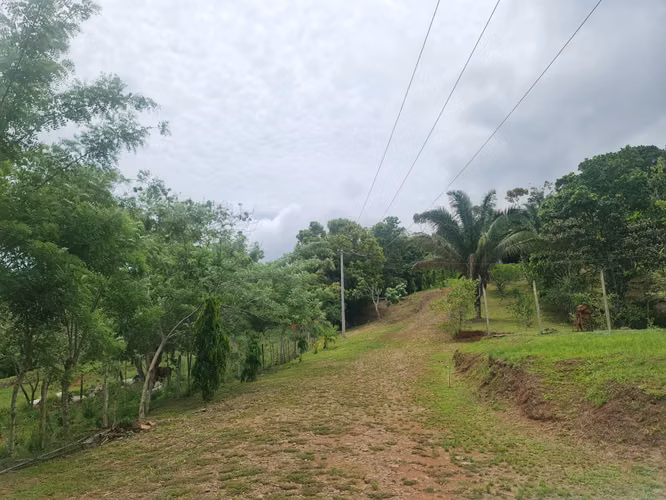 VENTA FINCA CAPIRA
