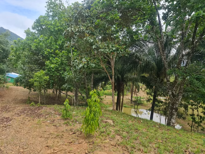 VENTA FINCA CAPIRA