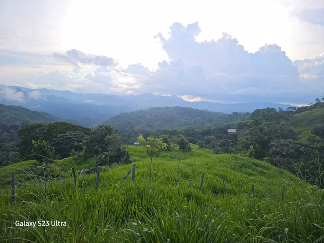 VENTA FINCA CAPIRA