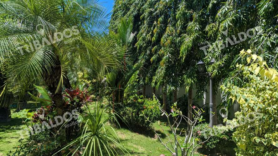Venta de Casa en Coronado - Imagen 15