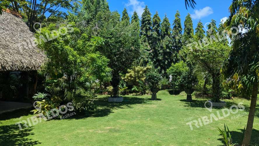 Venta de Casa en Coronado - Imagen 8