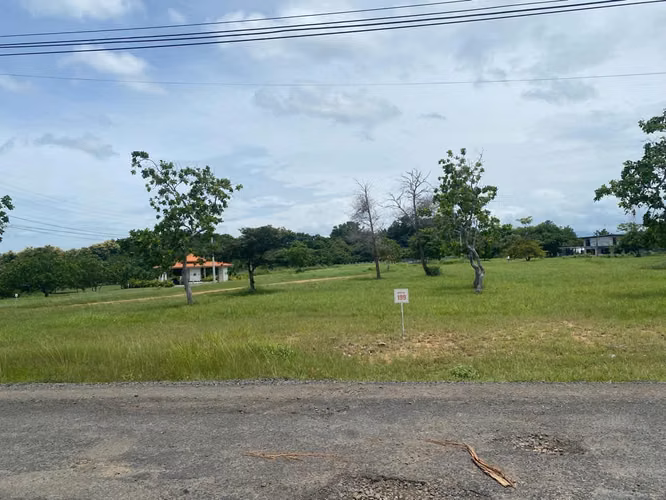 Terreno en Venta en Coronado, Palmeras del Golf - Imagen 7