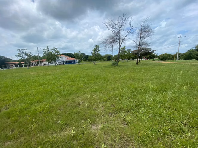 Terreno en Venta en Coronado, Palmeras del Golf - Imagen 10