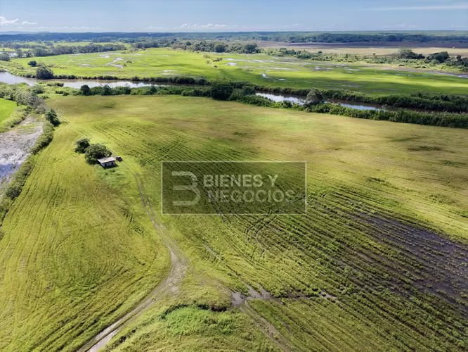 Finca en Chiriqui, Alanje, 130.2 hectáreas en Querevalo