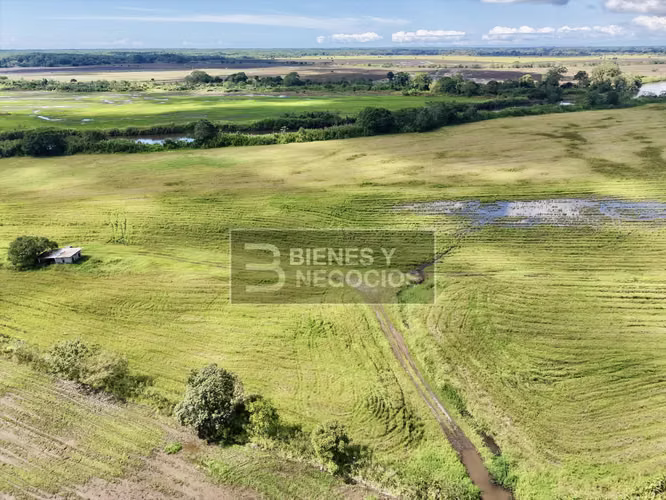 Finca en Chiriqui, Alanje, 130.2 hectáreas en Querevalo
