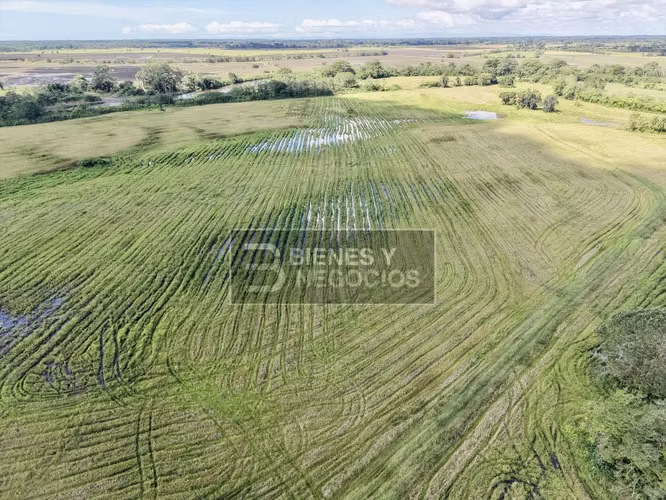 Finca en Chiriqui, Alanje, 130.2 hectáreas en Querevalo