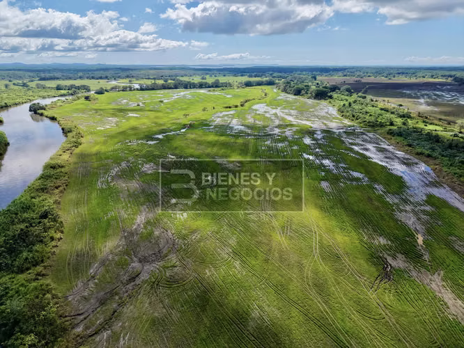Finca en Chiriqui, Alanje, 130.2 hectáreas en Querevalo