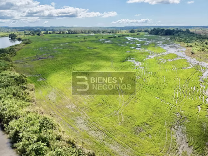 Finca en Chiriqui, Alanje, 130.2 hectáreas en Querevalo