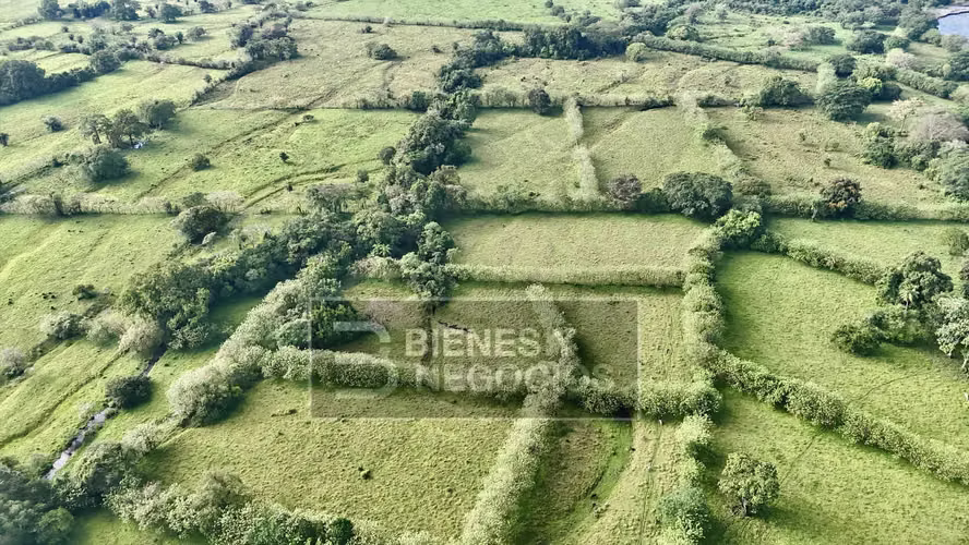 Lecheria en Chiriqui, Bugaba, 40.5 hectáreas