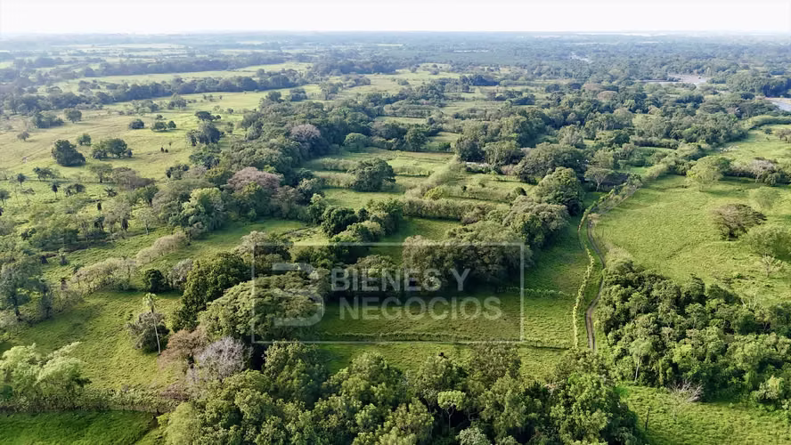 Lecheria en Chiriqui, Bugaba, 40.5 hectáreas