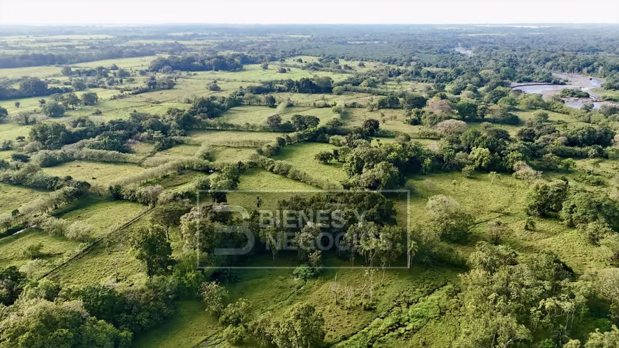 Lecheria en Chiriqui, Bugaba, 40.5 hectáreas