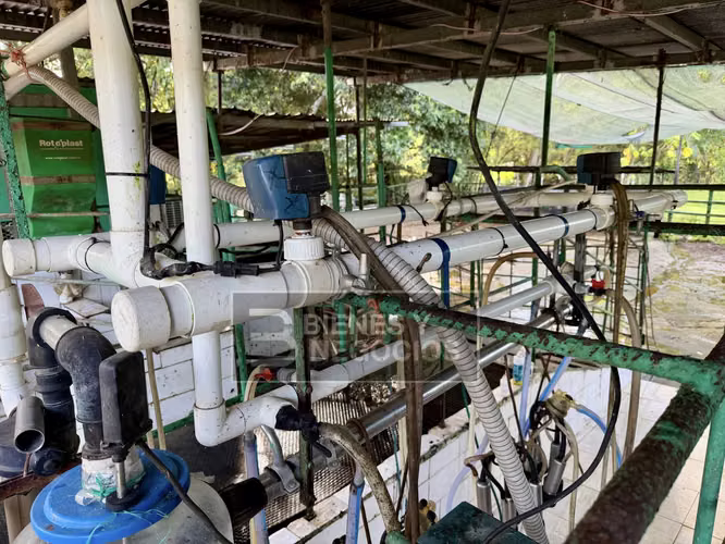 Lecheria en Chiriqui, Bugaba, 40.5 hectáreas