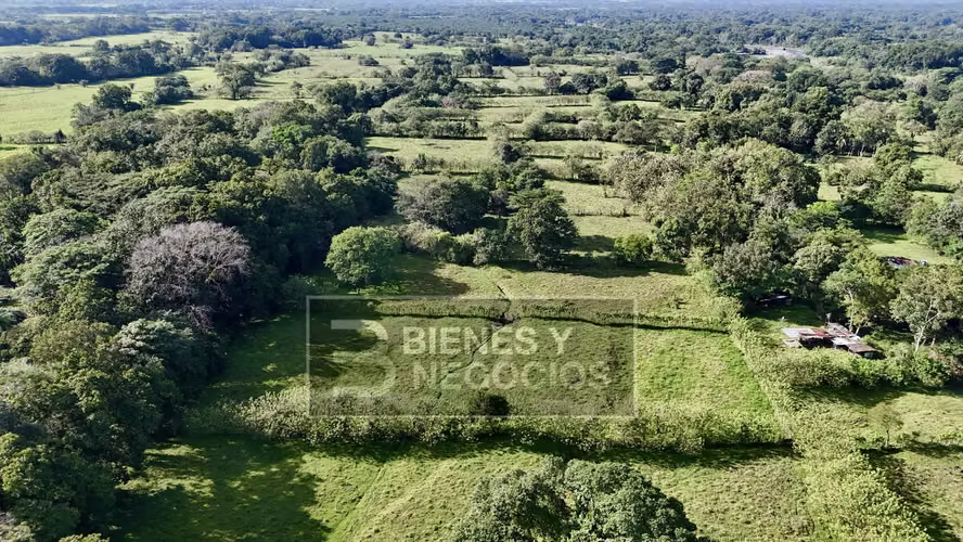 Dairy farm in Chiriqui,, 100 Acres in Bugaba