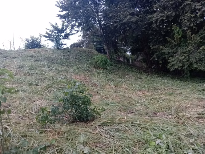 VENTA DE TERRENO EN SAN CARLOS VIA PUNTA BARCO VIEJO