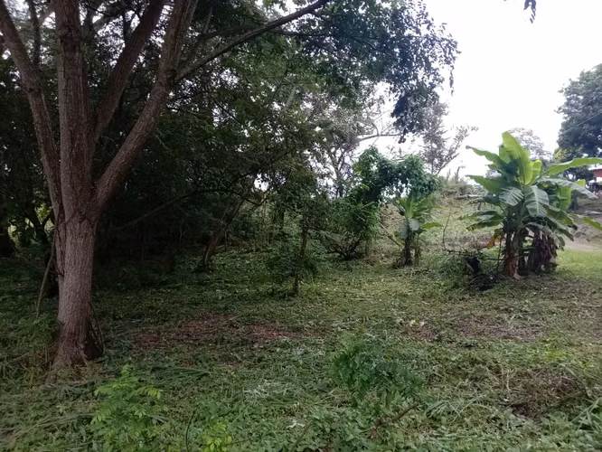VENTA DE TERRENO EN SAN CARLOS VIA PUNTA BARCO VIEJO