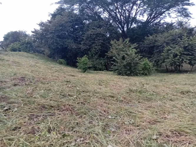 VENTA DE TERRENO EN SAN CARLOS VIA PUNTA BARCO VIEJO