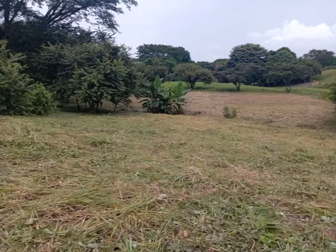 VENTA DE TERRENO EN SAN CARLOS VIA PUNTA BARCO VIEJO