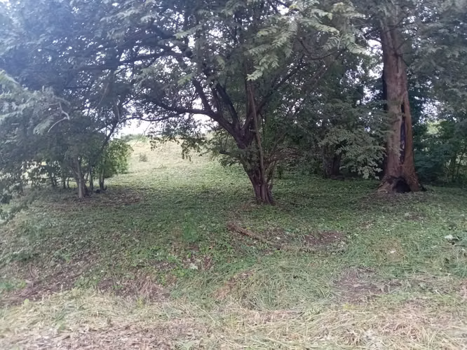 VENTA DE TERRENO EN SAN CARLOS VIA PUNTA BARCO VIEJO
