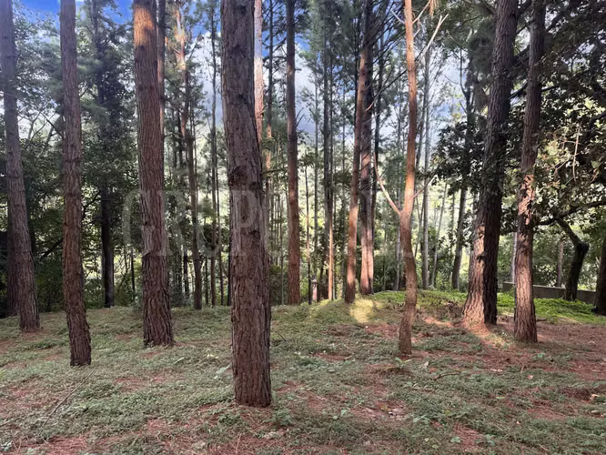 OPORTUNIDAD! Se vende Hermoso Terreno en Altos del Maria - Imagen 5
