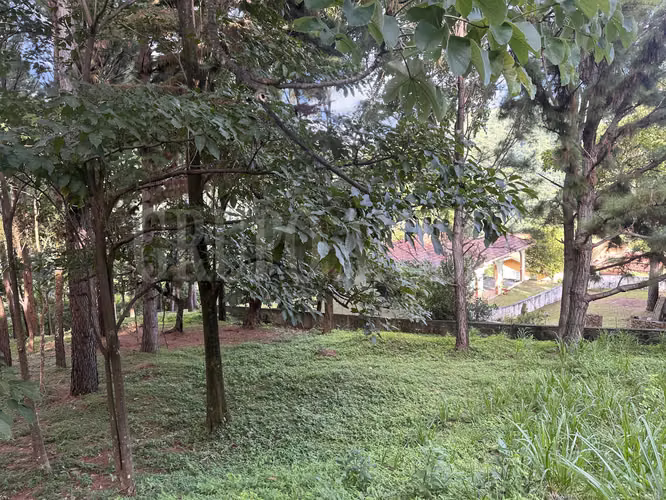 OPORTUNIDAD! Se vende Hermoso Terreno en Altos del Maria - Imagen 3