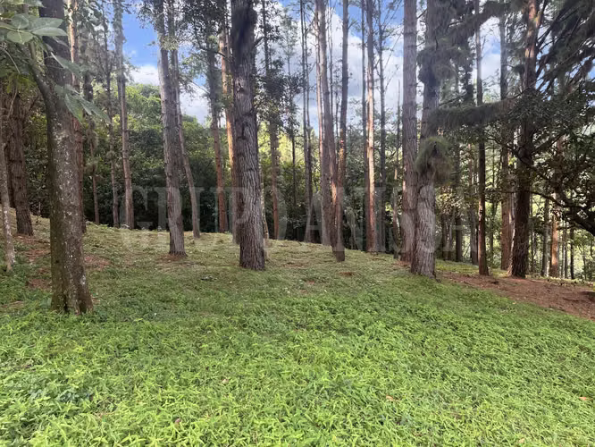 OPORTUNIDAD! Se vende Hermoso Terreno en Altos del Maria - Imagen 10