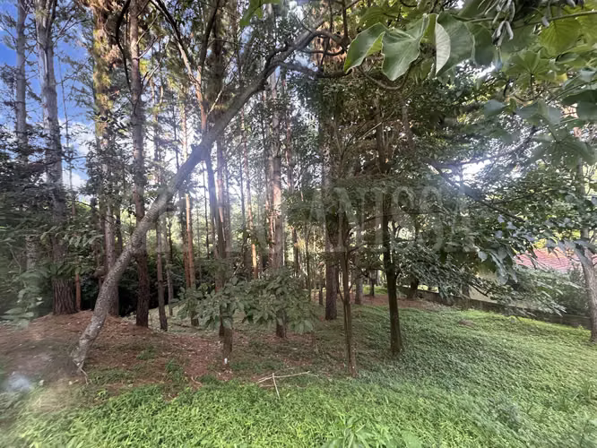 OPORTUNIDAD! Se vende Hermoso Terreno en Altos del Maria - Imagen 8