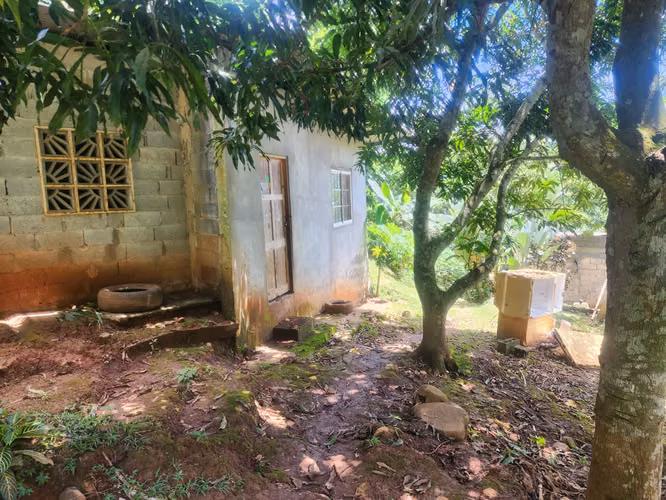VENDO PROPIEDAD EN LAS ACACIAS DE ARRAIJAN