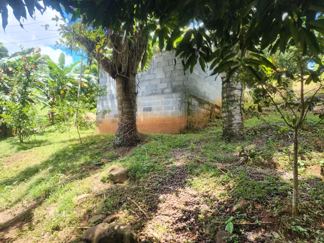 VENDO PROPIEDAD EN LAS ACACIAS DE ARRAIJAN