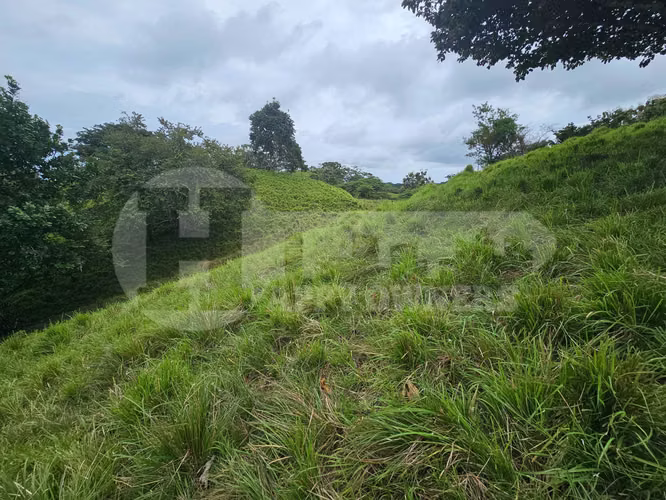 Venta de terreno en Pedasí