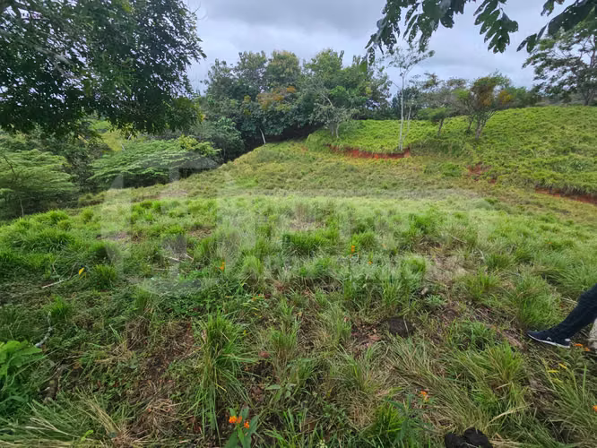 Venta de terreno en Pedasí