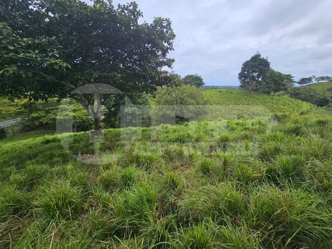 Venta de terreno en Pedasí