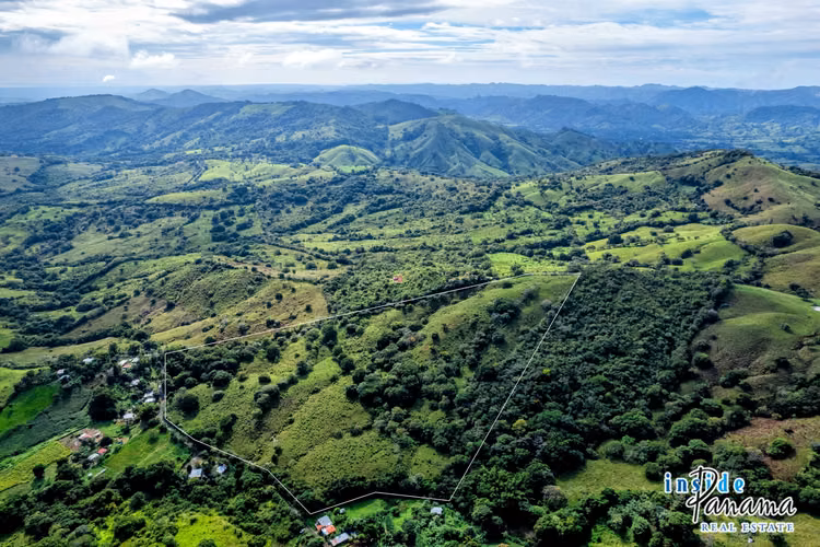 Finca de 29 Ha en Palmira Las Tablas Los Santos Panamá