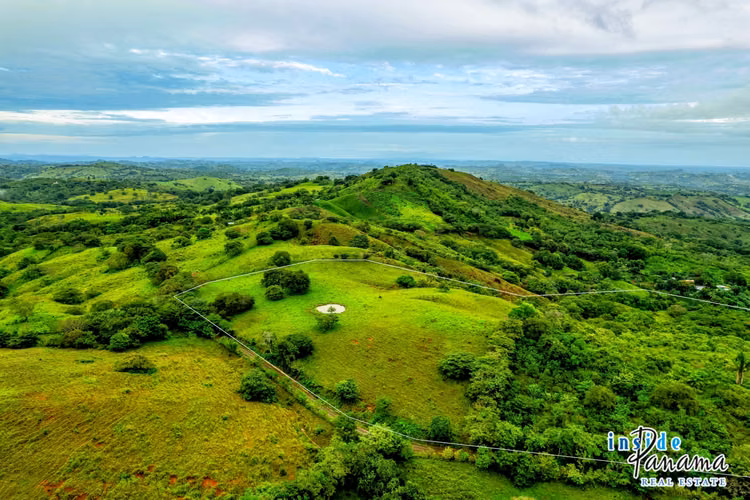 Finca de 29 Ha en Palmira Las Tablas Los Santos Panamá