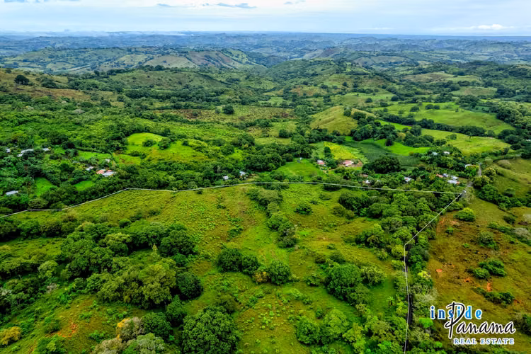 Finca de 29 Ha en Palmira Las Tablas Los Santos Panamá