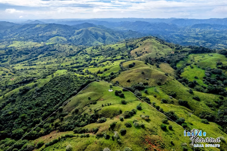 Finca de 29 Ha en Palmira Las Tablas Los Santos Panamá