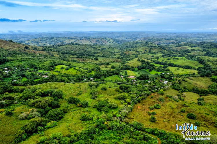 Finca de 29 Ha en Palmira Las Tablas Los Santos Panamá
