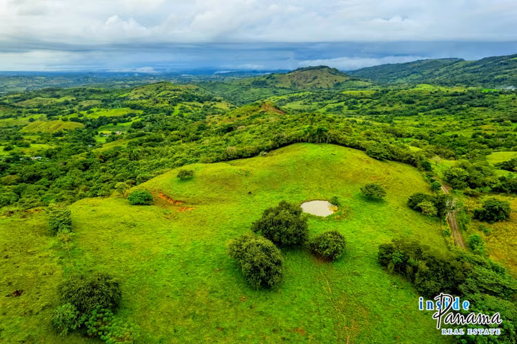 Finca de 29 Ha en Palmira Las Tablas Los Santos Panamá