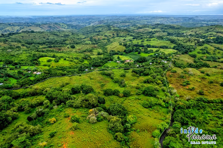 Finca de 29 Ha en Palmira Las Tablas Los Santos Panamá