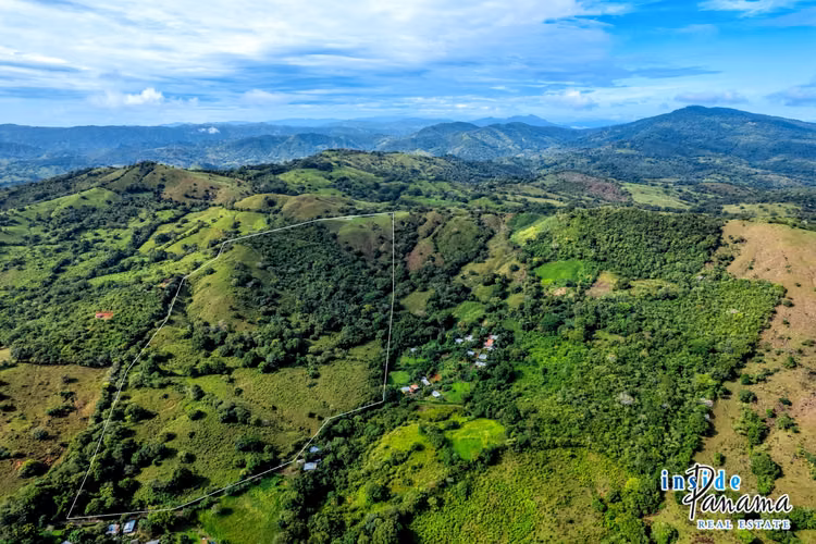Finca de 29 Ha en Palmira Las Tablas Los Santos Panamá