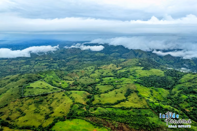 Finca de 7 Ha en Las Tablas Los Santos Panamá