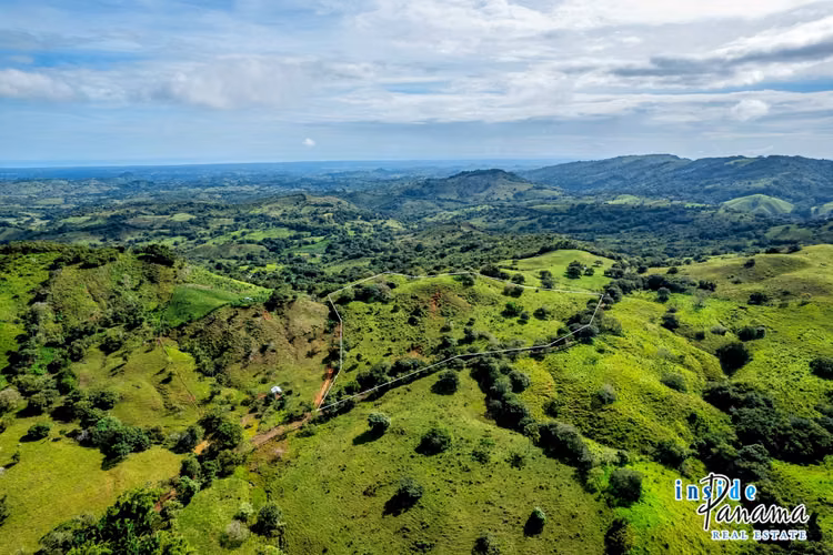 Finca de 7 Ha en Las Tablas Los Santos Panamá