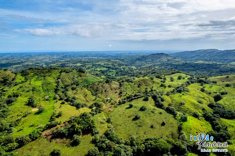 Finca de 7 Ha en Las Tablas Los Santos Panamá