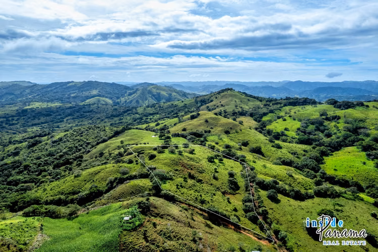 Finca de 7 Ha en Las Tablas Los Santos Panamá