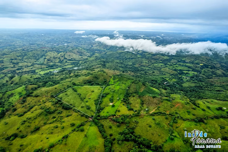 Finca de 7 Ha en Las Tablas Los Santos Panamá