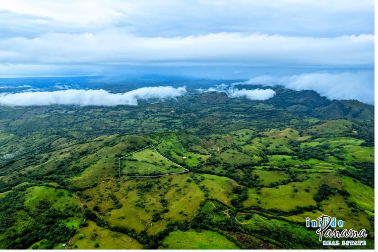 Finca de 7 Ha en Las Tablas Los Santos Panamá