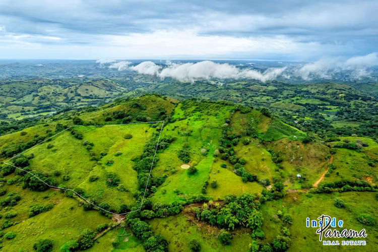 Finca de 7 Ha en Las Tablas Los Santos Panamá