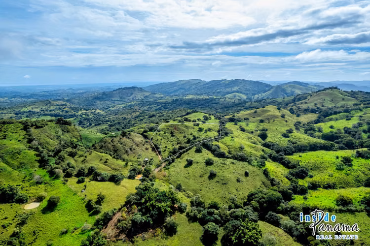 Finca de 7 Ha en Las Tablas Los Santos Panamá